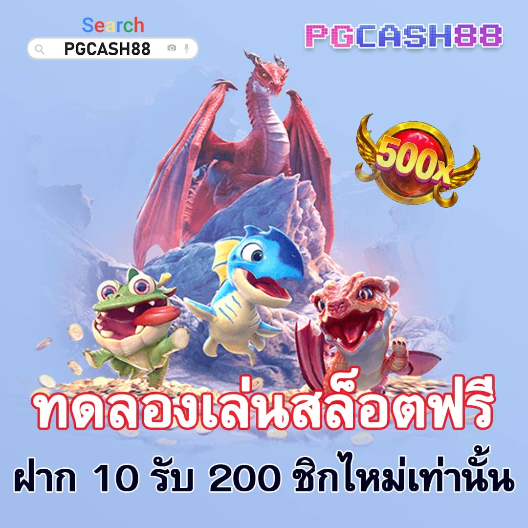 cat888หวย